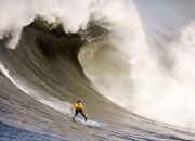 开云体育中国官网-阿尔卡拉斯美网完胜联合杯，一场刷新纪录的网球革命