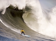 开云体育中国官网-阿尔卡拉斯美网完胜联合杯，一场刷新纪录的网球革命